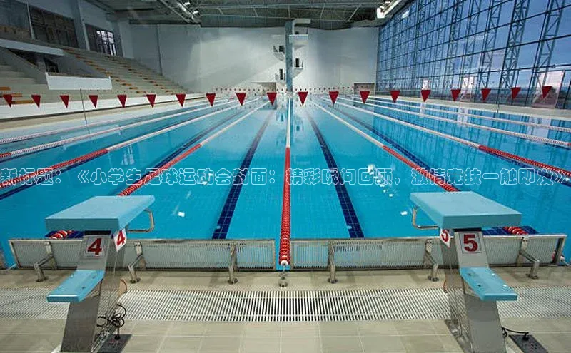 华体育·登录入口百度搜索资源平台新标题：《小学生足球运动会封面：精彩瞬间回顾，激情竞技一触即发》