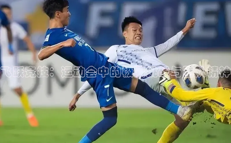 华体育app官网登录入口网易飞跃竞技：运动会中的极限挑战与团队精神