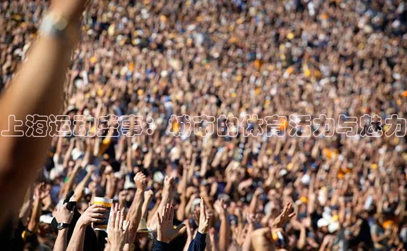 hth最新官网登录入口诸葛科技上海运动盛事：城市的体育活力与魅力