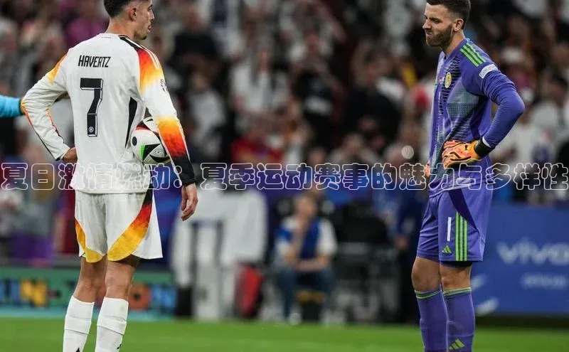 夏日激情燃动：夏季运动赛事的魅力与多样性