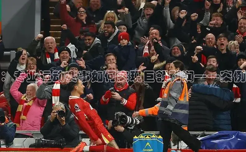 ：专业运动赛事如何实现巨额利润——案例