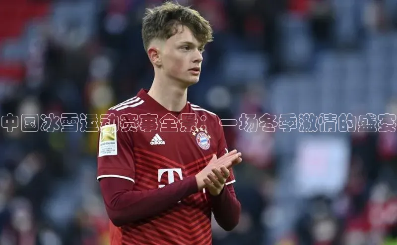 中国冰雪运动赛事全景：一场冬季激情的盛宴