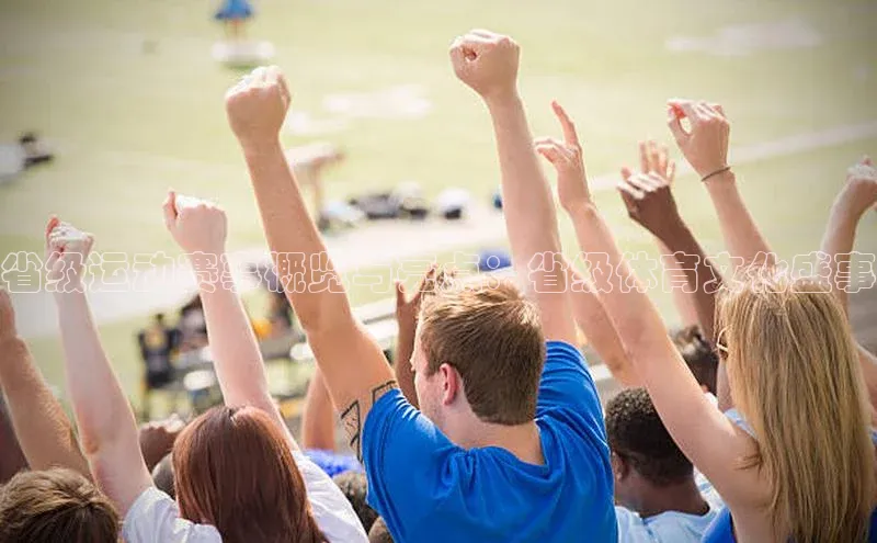 省级运动赛事概览与亮点：省级体育文化盛事