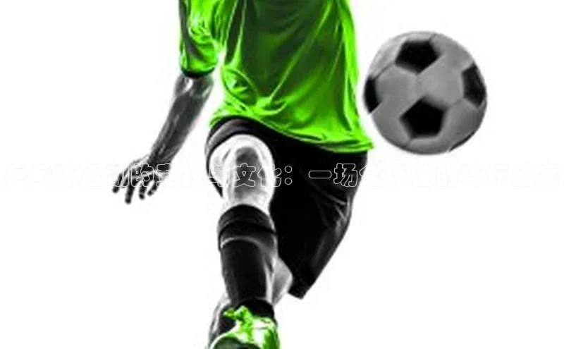 乒乓球运动的竞技与文化：一场全球性的球坛盛宴