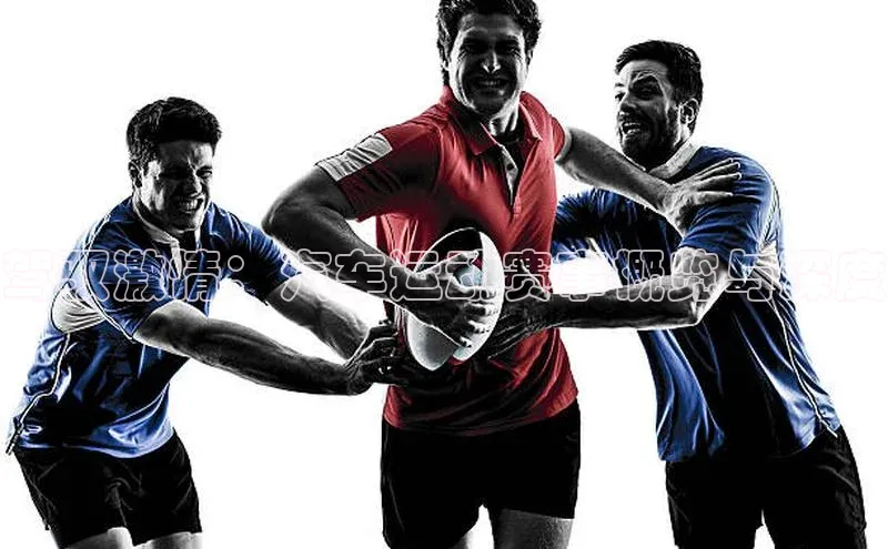 驾驭激情：汽车运动赛事概览与深度