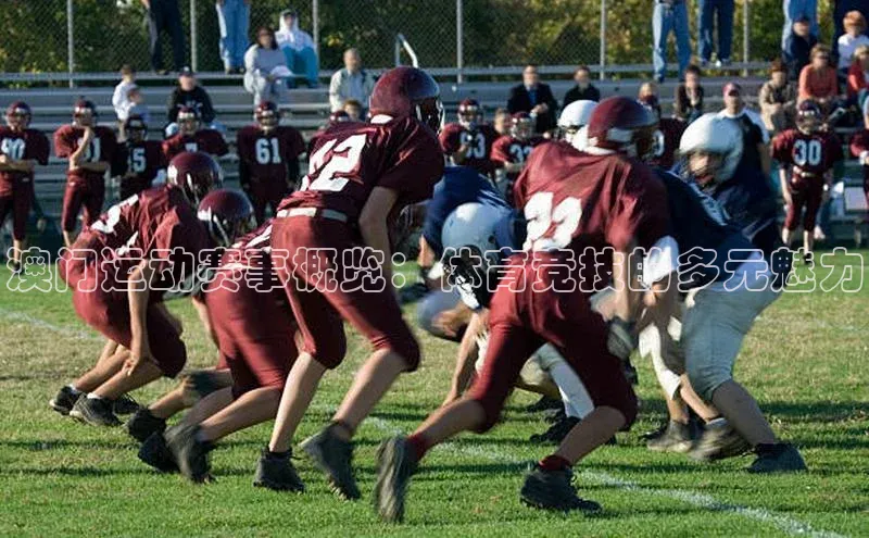澳门运动赛事概览：体育竞技的多元魅力