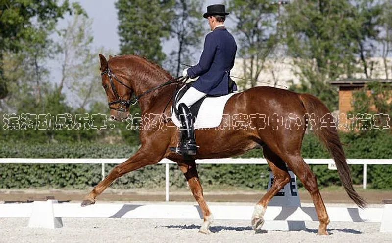 滨海动感乐章：滨海运动休闲赛事中心的全新篇章