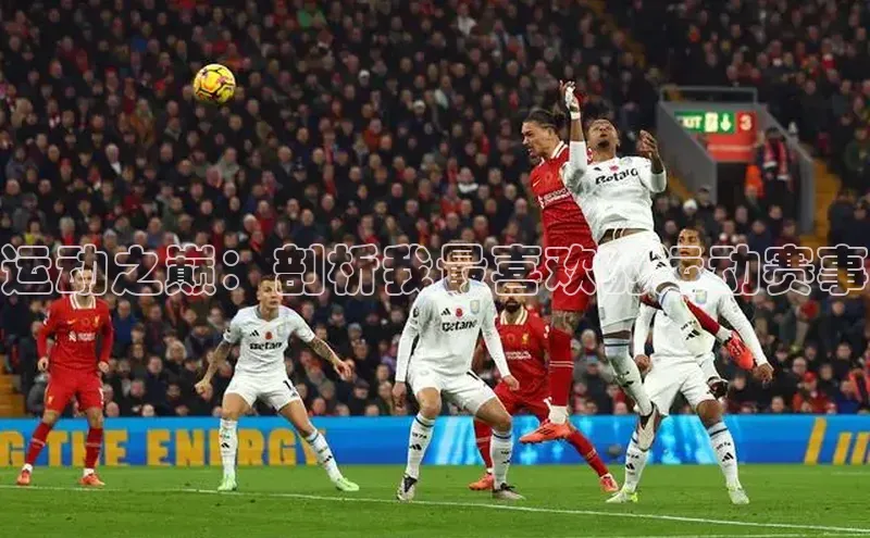 运动之巅：剖析我最喜欢的运动赛事