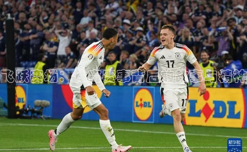 飞跃赛场：体育赛事背后的故事与精神