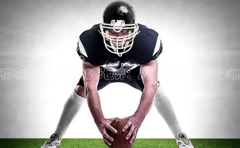 骑马运动赛事的精彩世界：从传统到现代的全貌