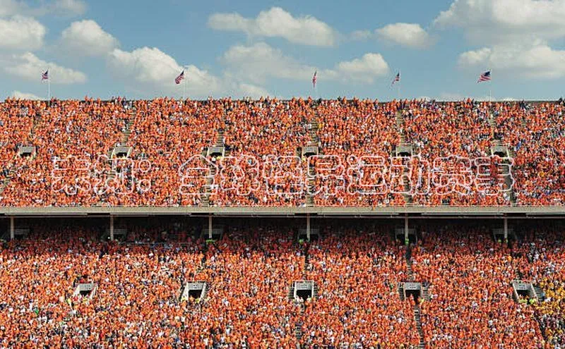 未知：全球怪异运动赛事