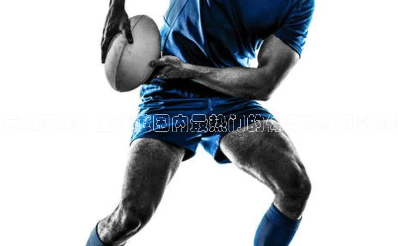 万人同乐：全球范围内最热门的体育赛事排行榜