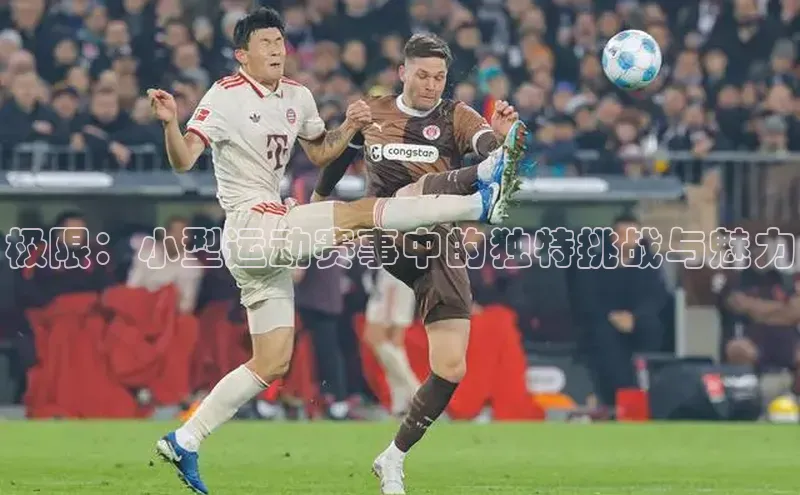 hth·华体育官方