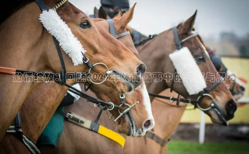 华体育·登录入口