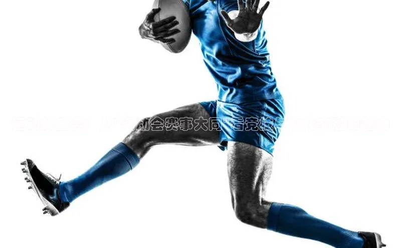 华体育app官网登录